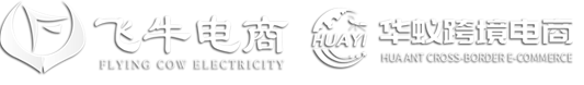 飞牛电商